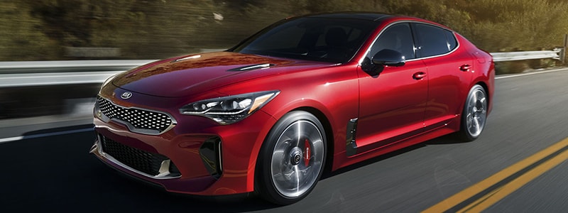 New 2019 Stinger Concord North Carolina