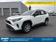 2019 Toyota RAV4 LE SUV
