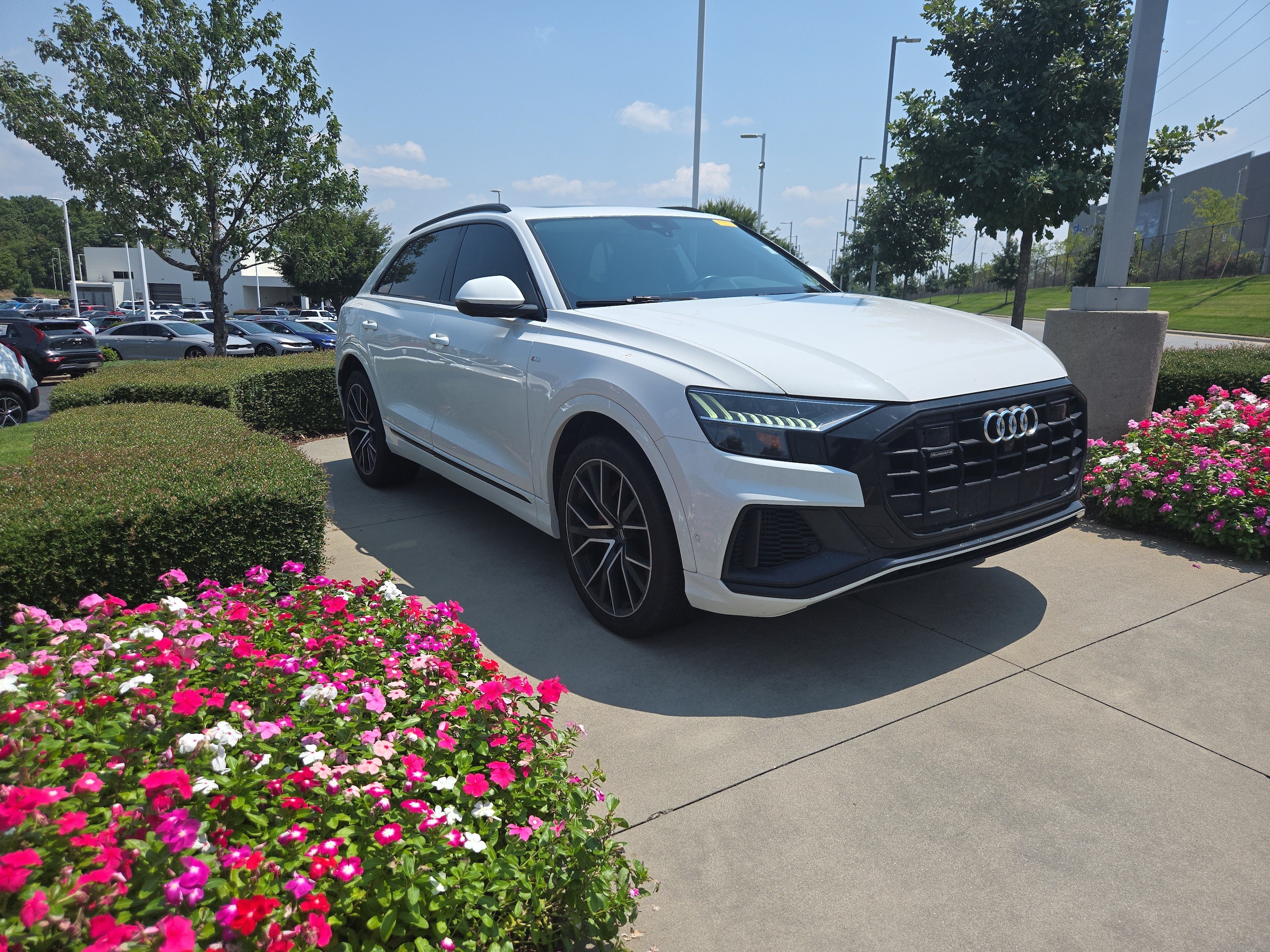 Audi Q8 Premium Plus