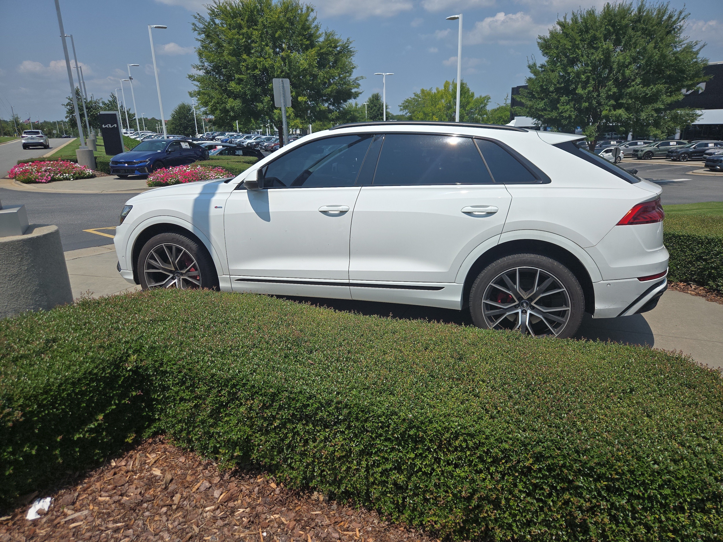 Audi Q8 Premium Plus