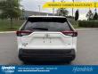 2019 Toyota RAV4 LE SUV