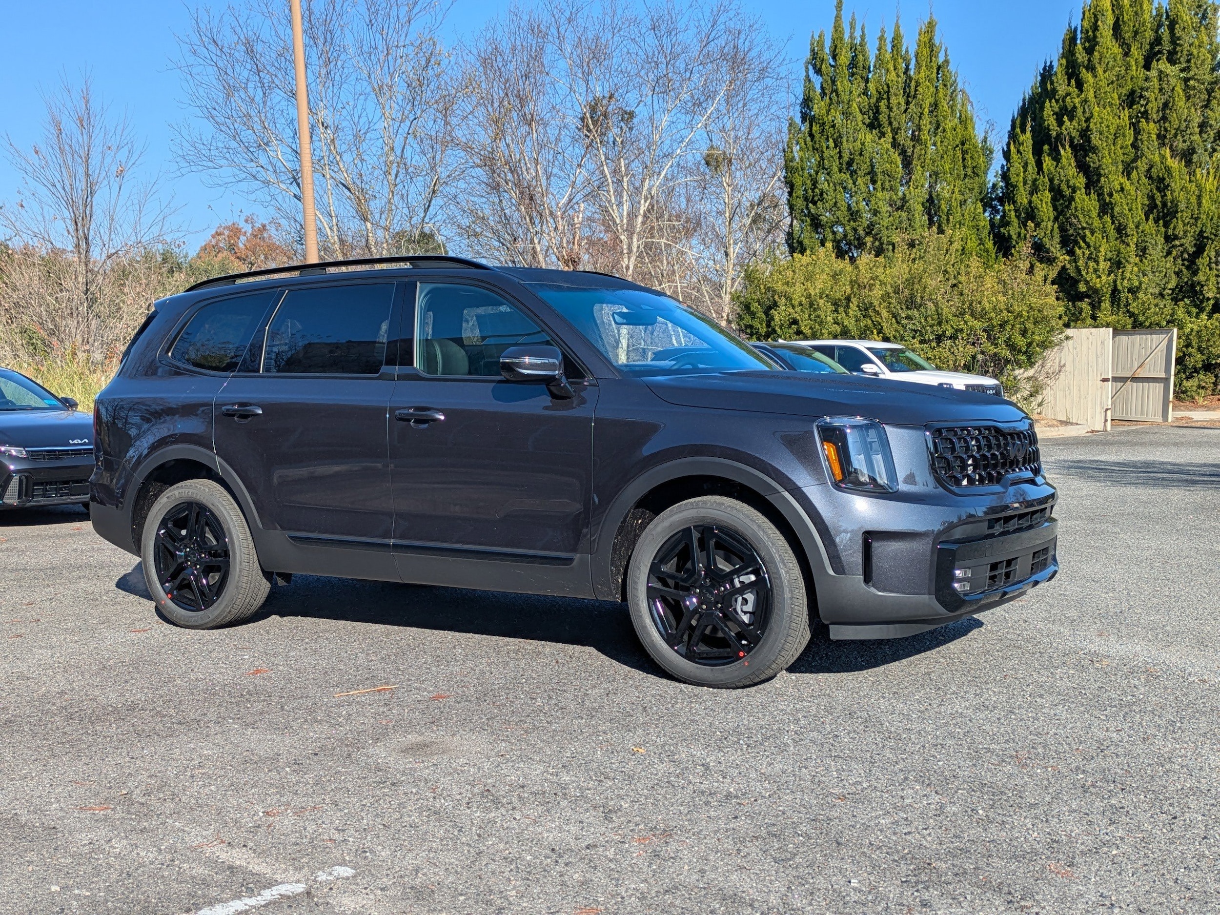 2025 Kia Telluride SX X-Line's photo