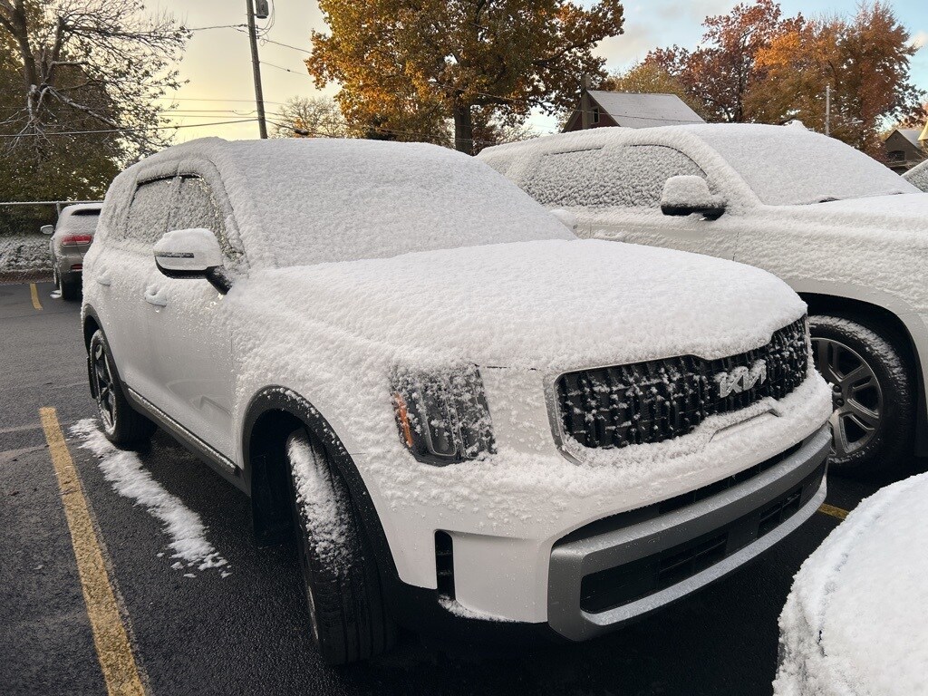 2025 Kia Telluride EX photo 2