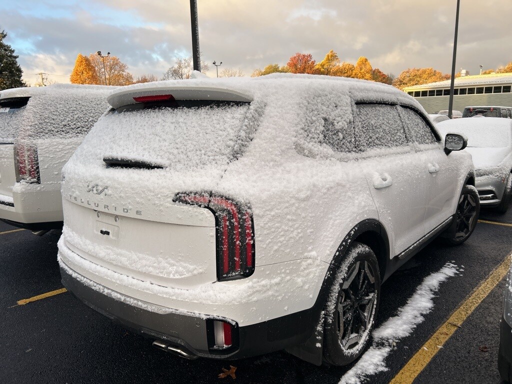 2025 Kia Telluride EX photo 3