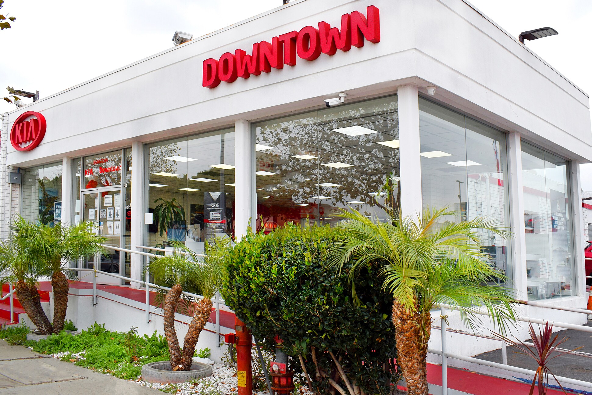 New & used KIA Downtown Los Angeles Car Dealer Los Angeles KIA