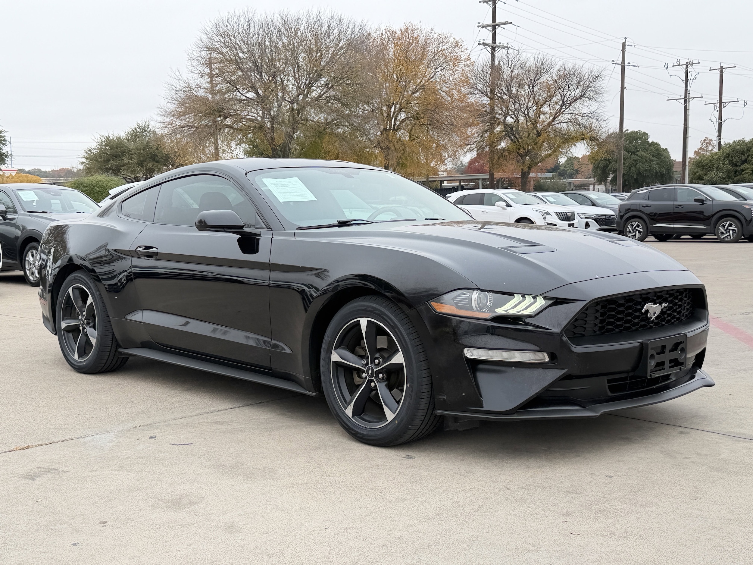 2019 Ford Mustang EcoBoost's photo