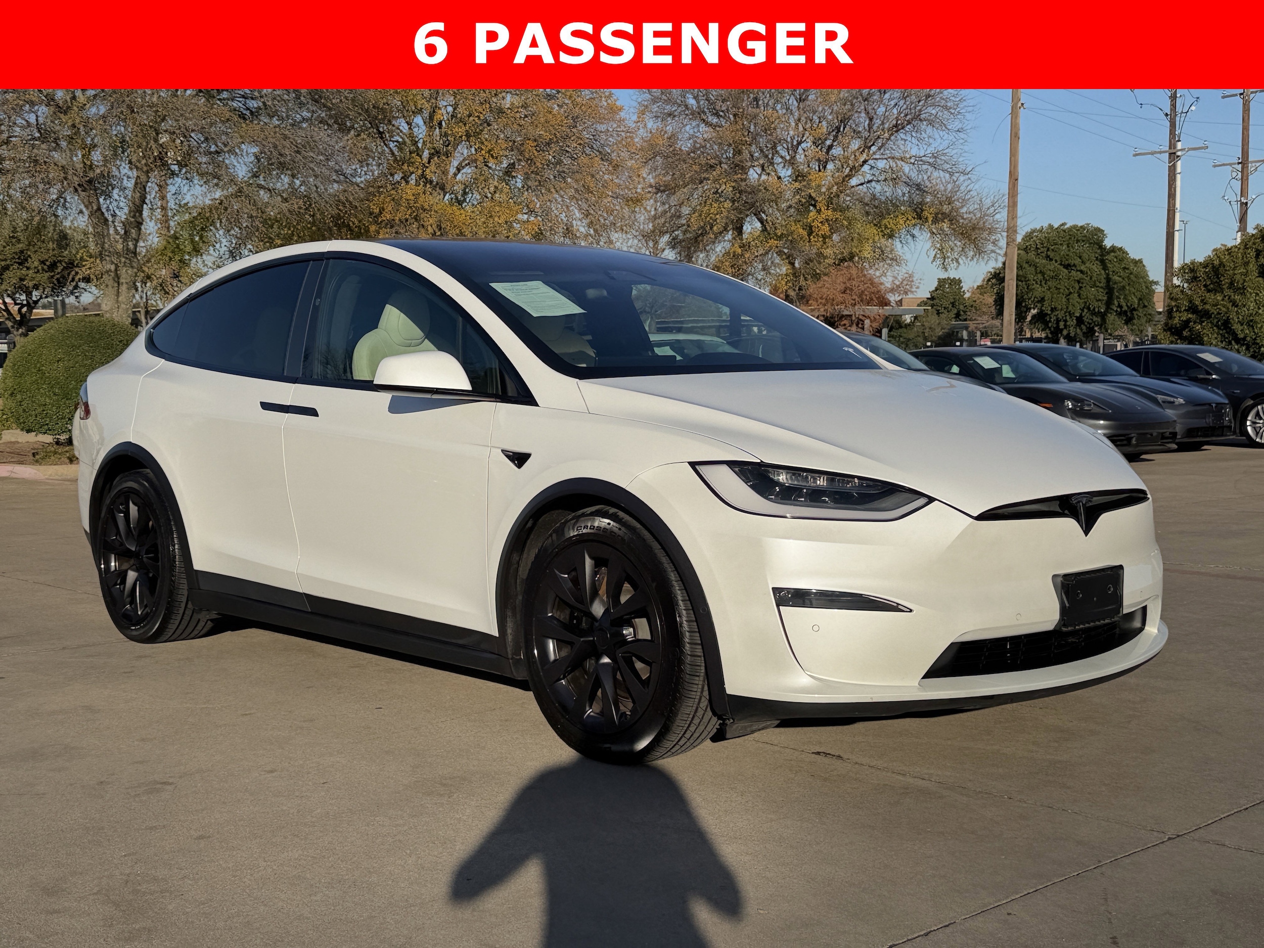 2021 Tesla Model X Performance's photo