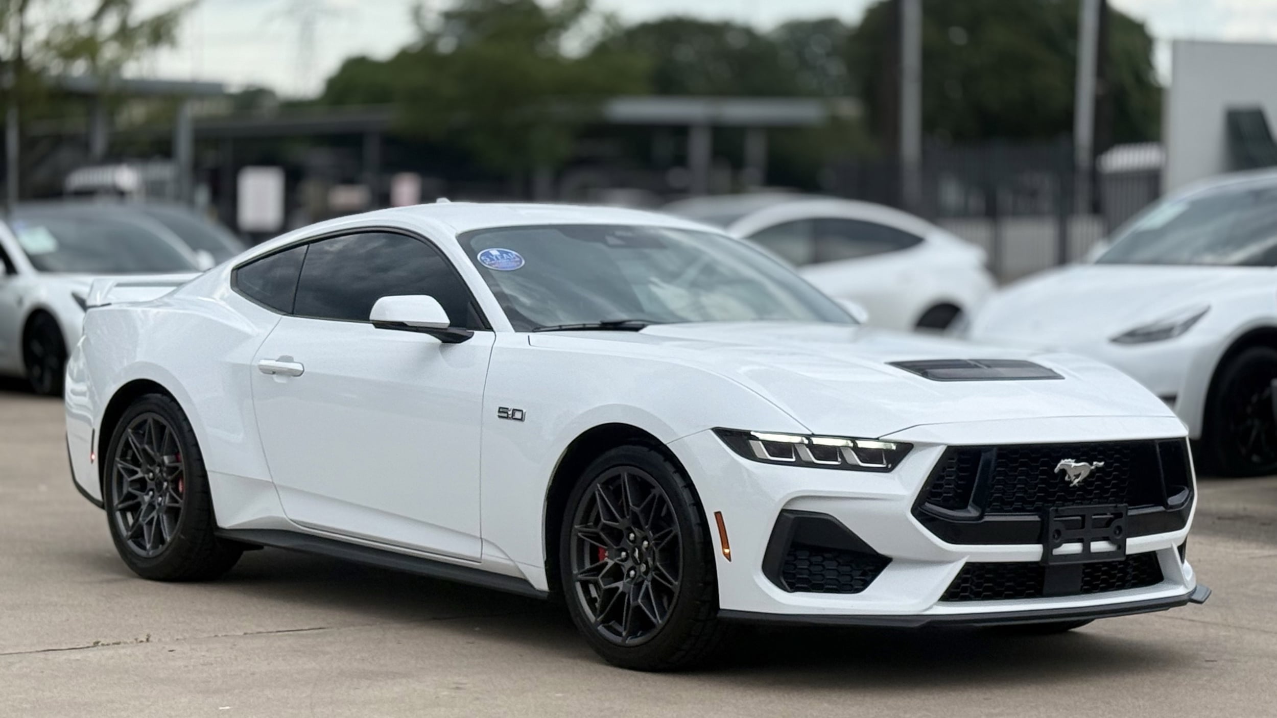 2024 Ford Mustang GT Premium Fastback's photo