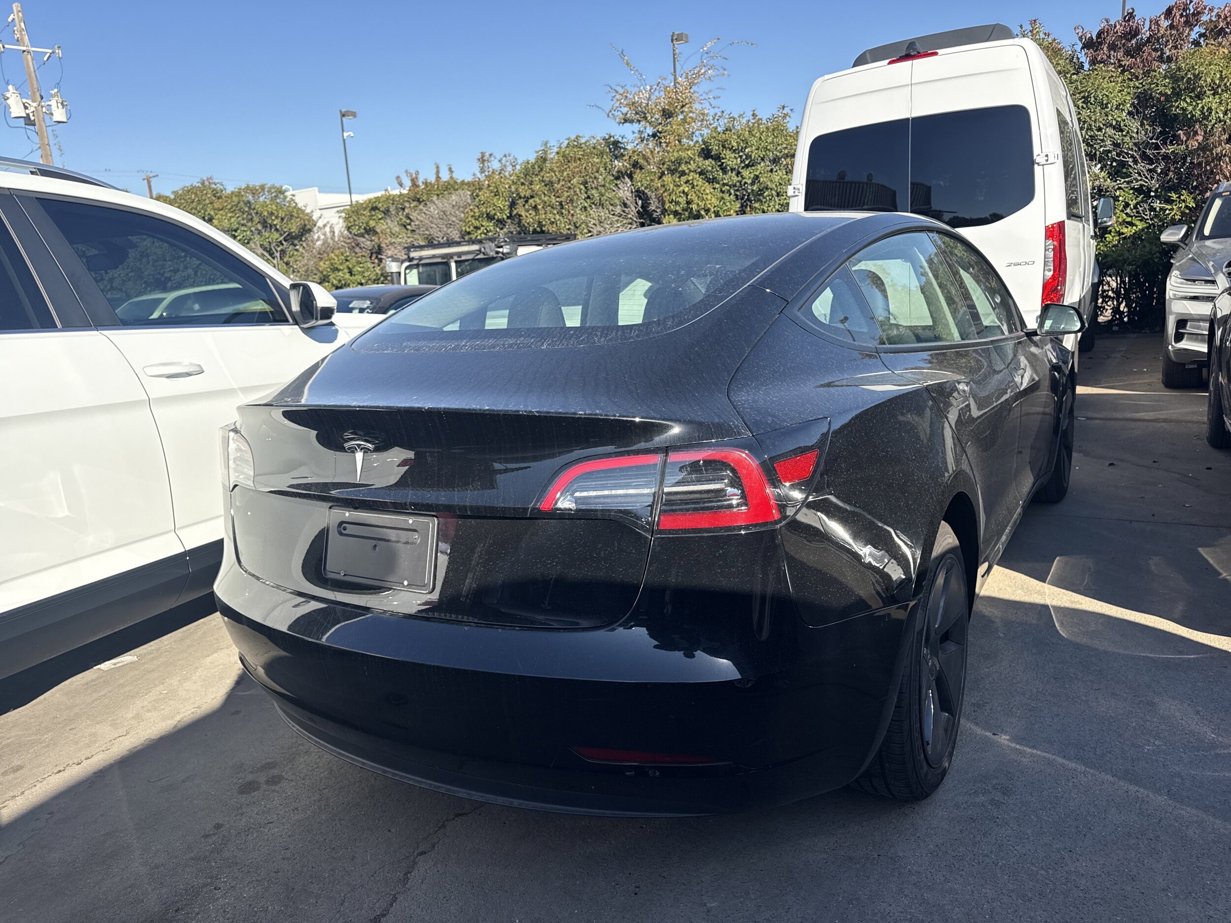 2023 Tesla Model 3 Rear-Wheel Drive photo 3