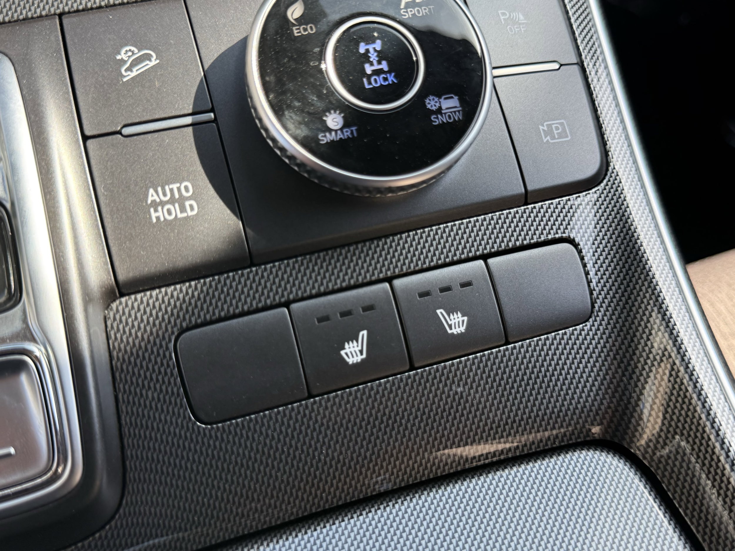2021 Hyundai Santa Fe Blue - Photo 62