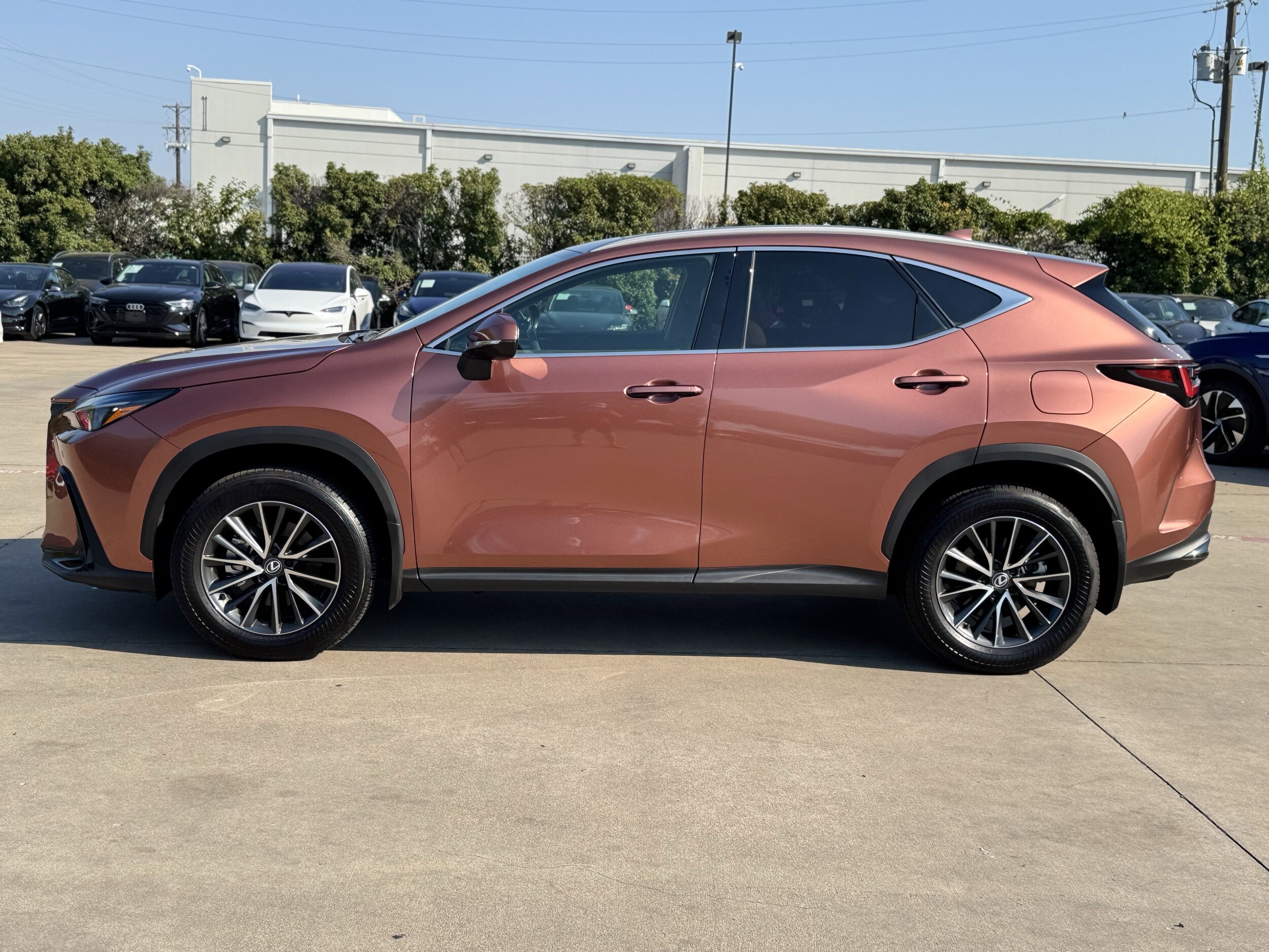 2025 Lexus NX 350h Premium photo 4