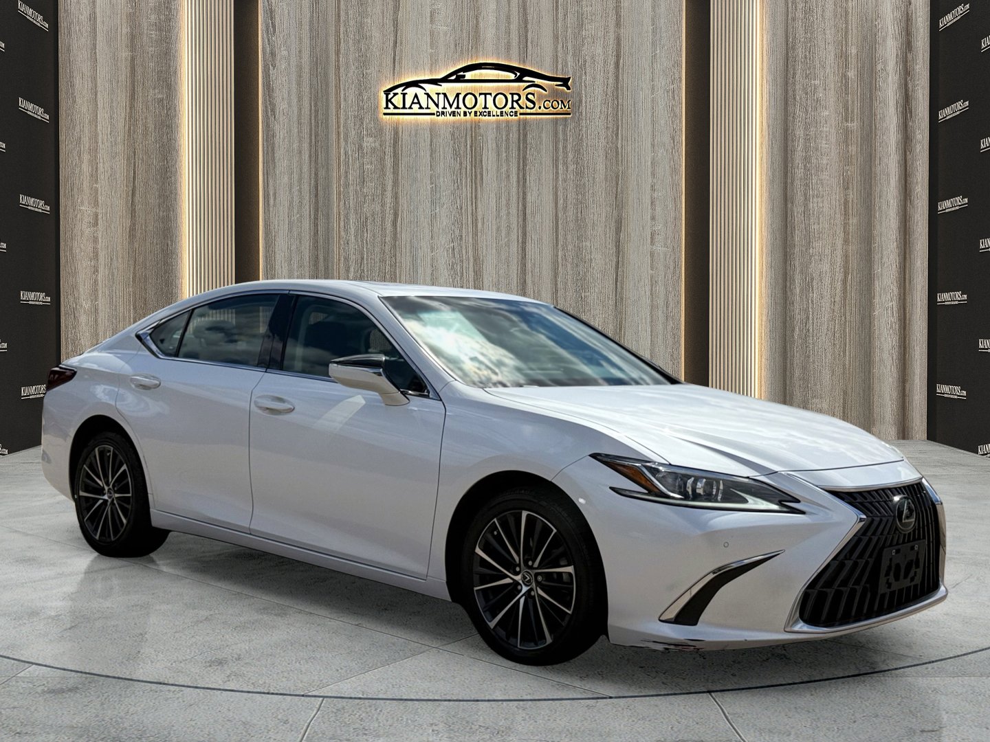 2022 Lexus ES 250's photo