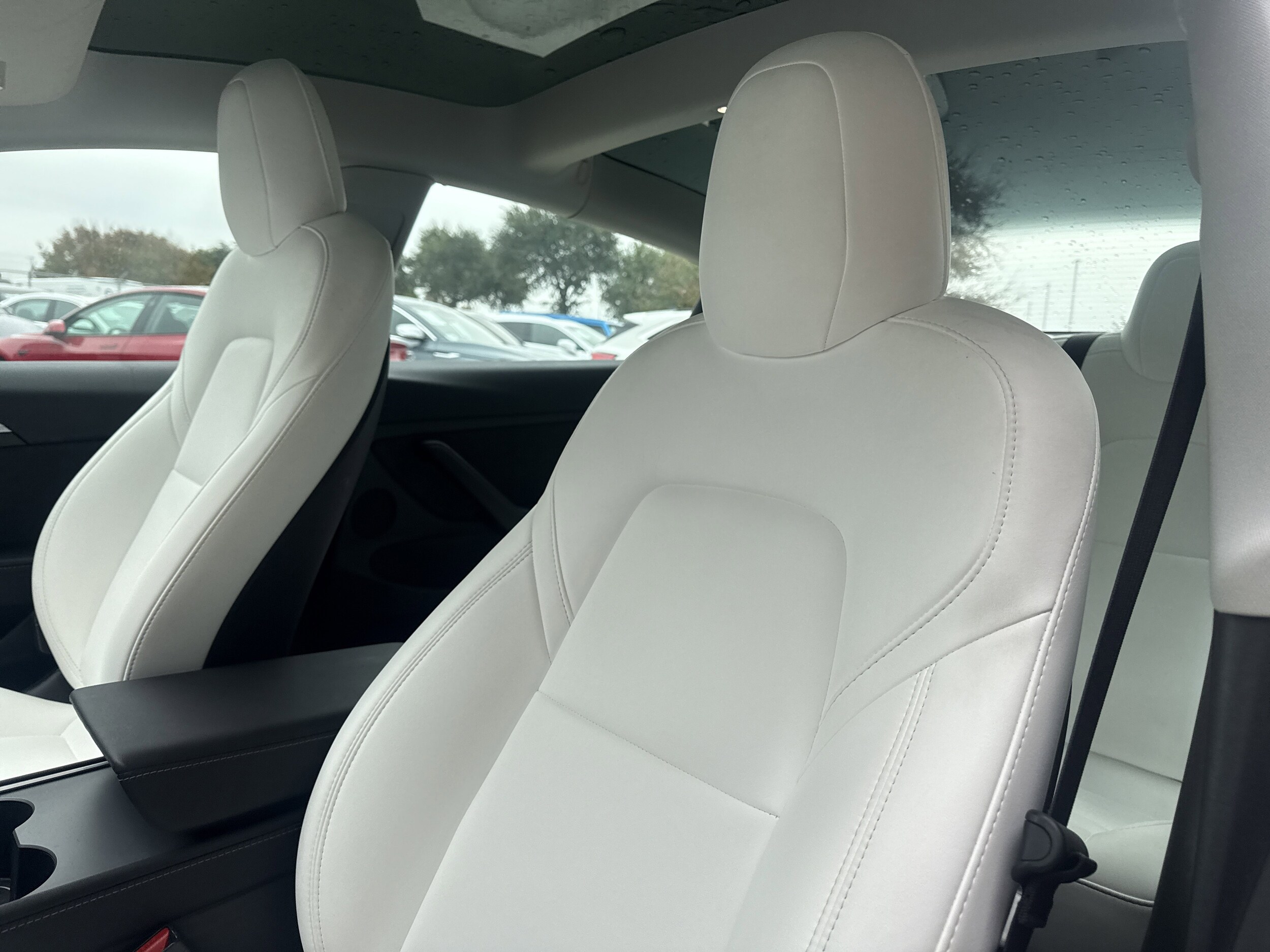 2022 Tesla Model 3 Rear-Wheel Drive photo 2