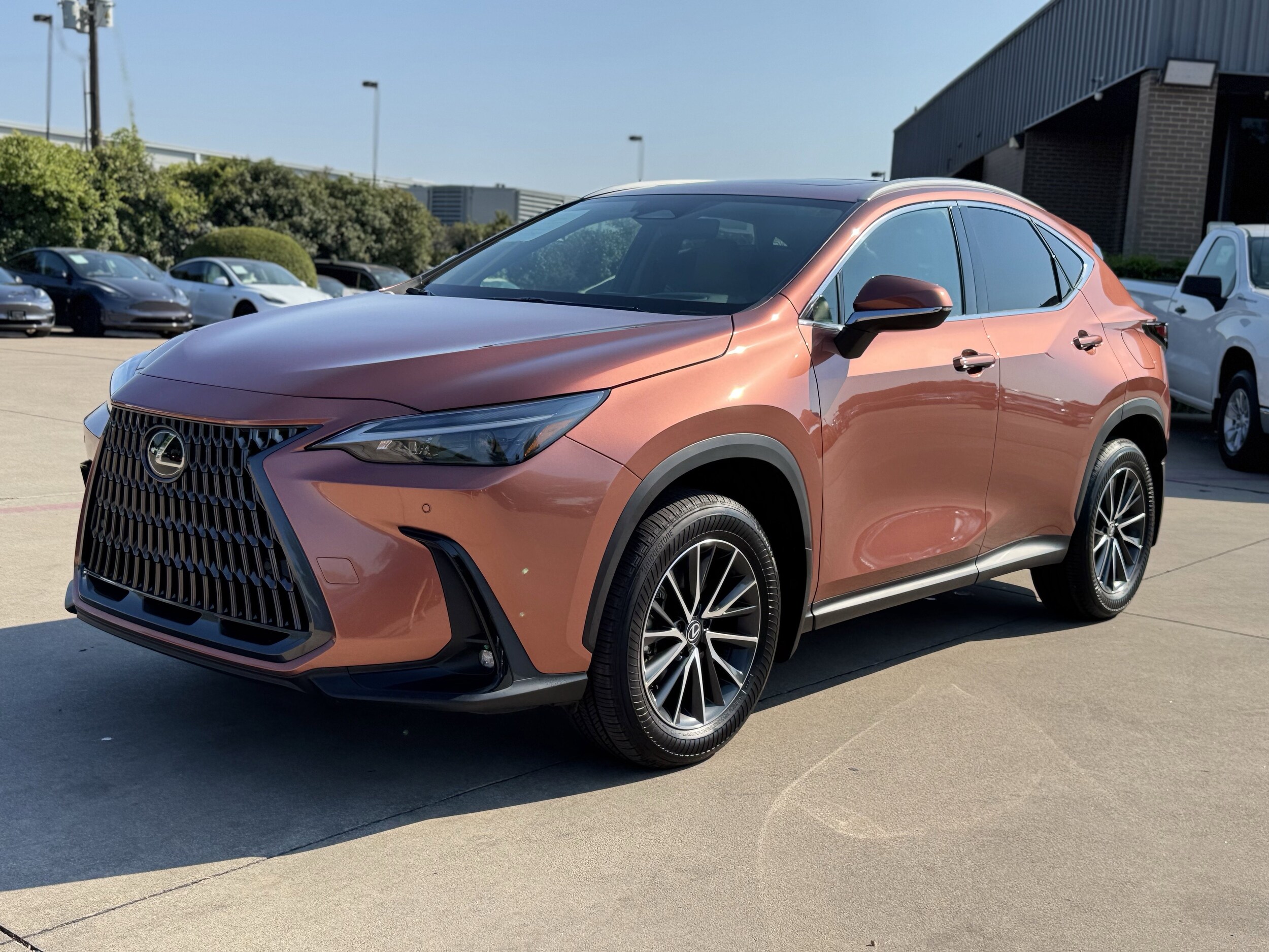 2025 Lexus NX 350h Premium photo 3