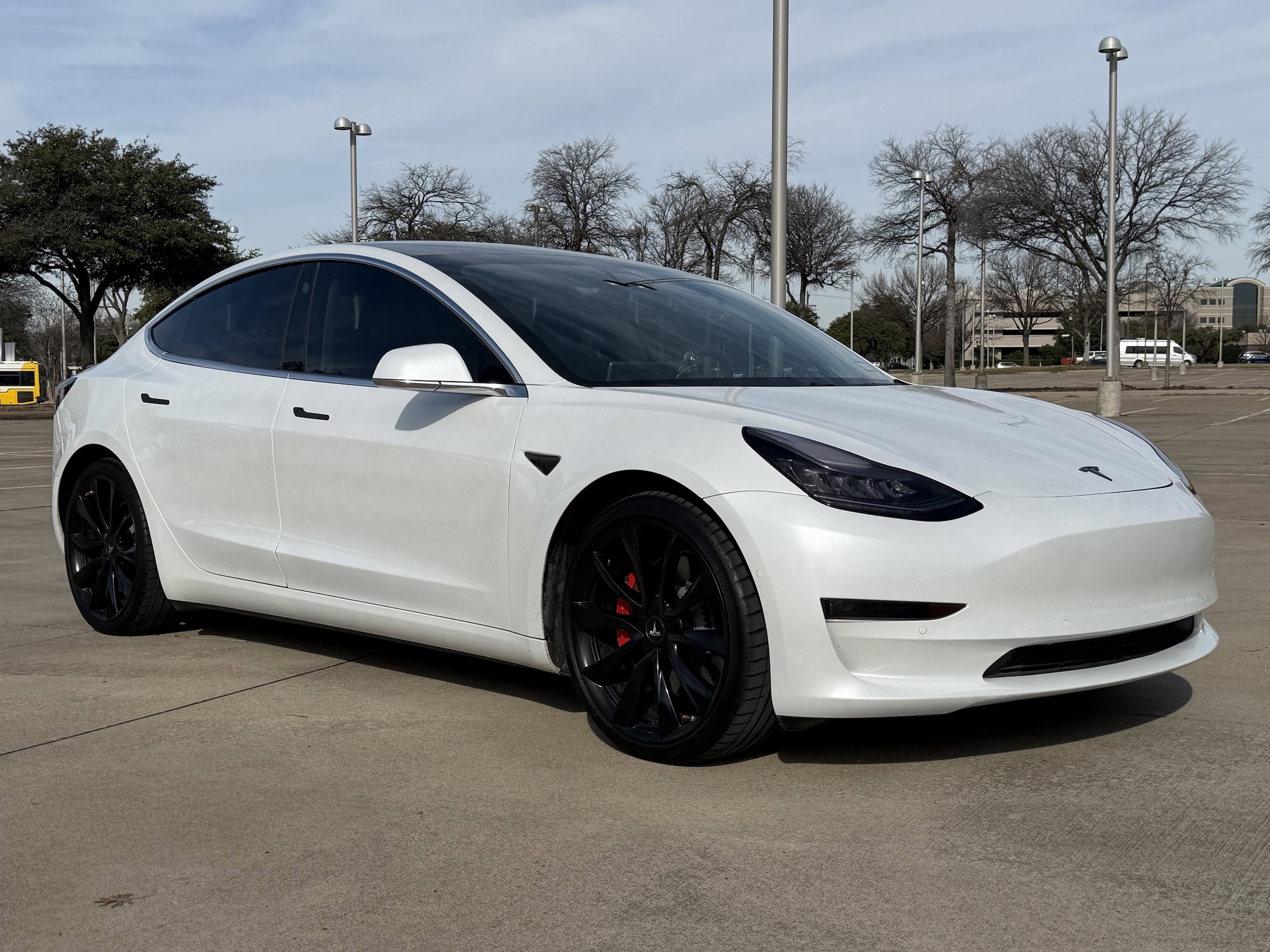 2020 Tesla Model 3 Base's photo