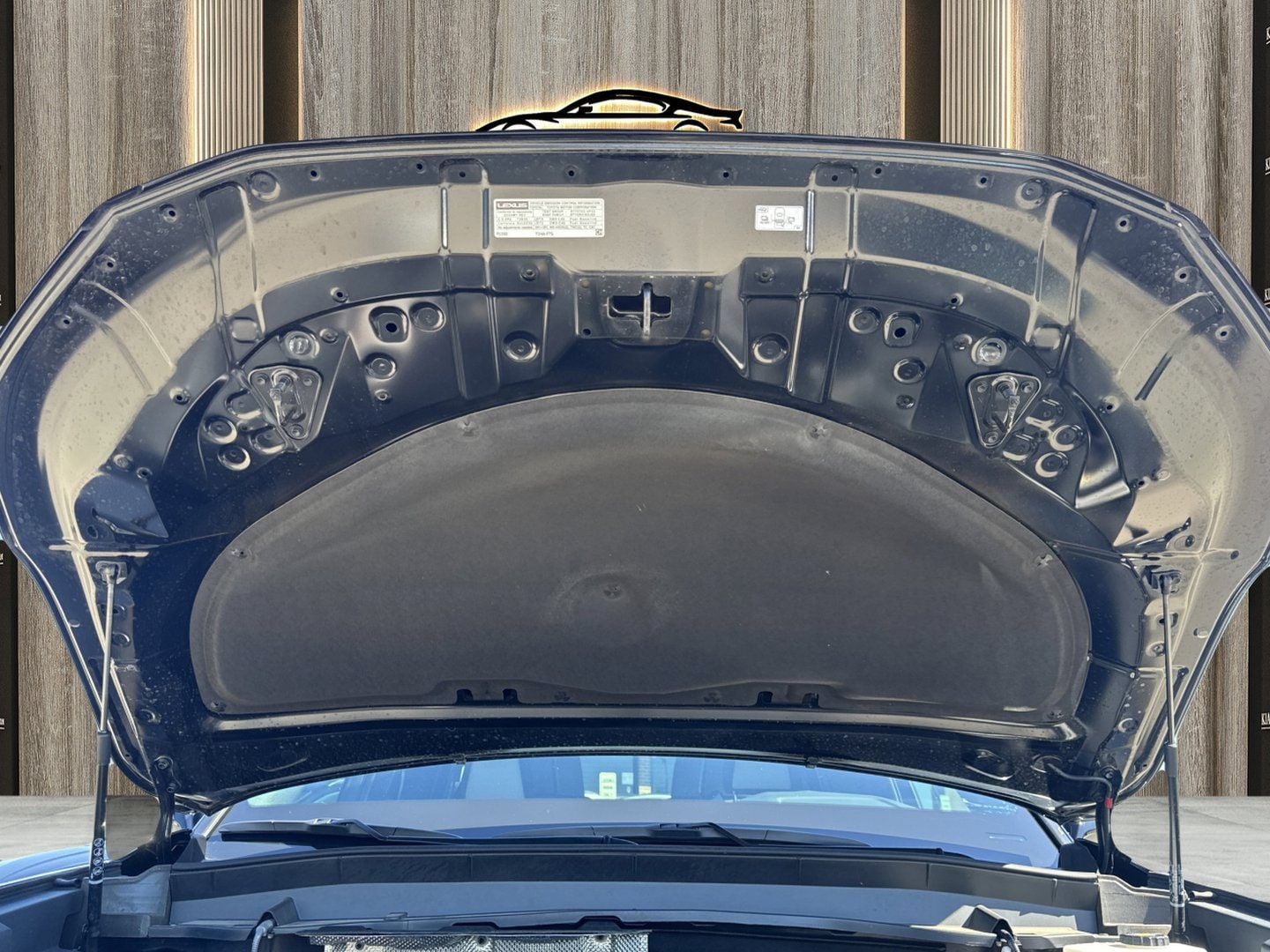 View 81