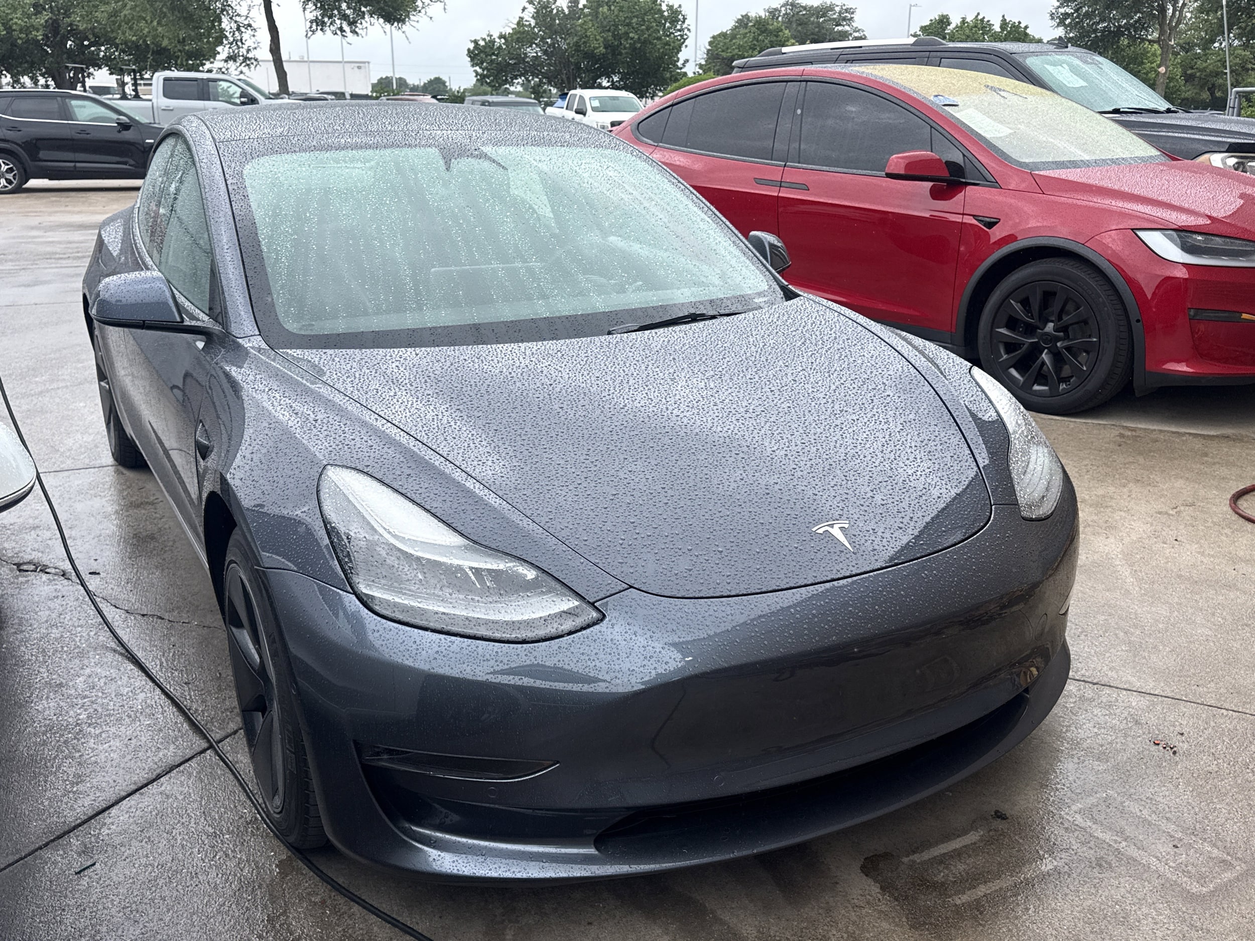 2021 Tesla Model 3 Standard Range Plus's photo