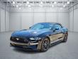 Used 2023 Ford Mustang I4CV