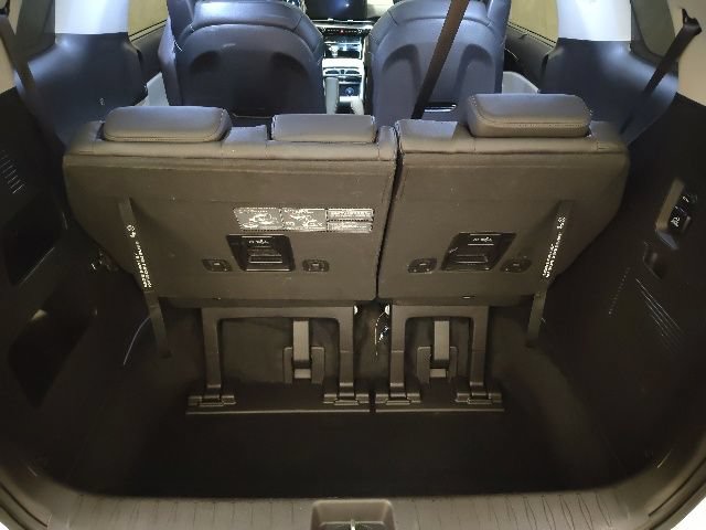 2024 Kia Carnival SX Prestige - Photo 18