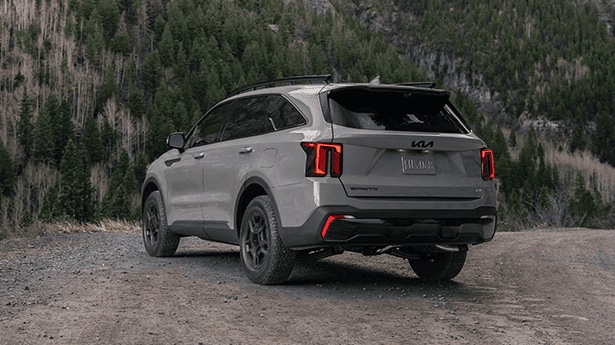 Choosing%20the%20Ideal%20Kia%20SUV%20for%20Your%20Family's%20Needs%20post.png