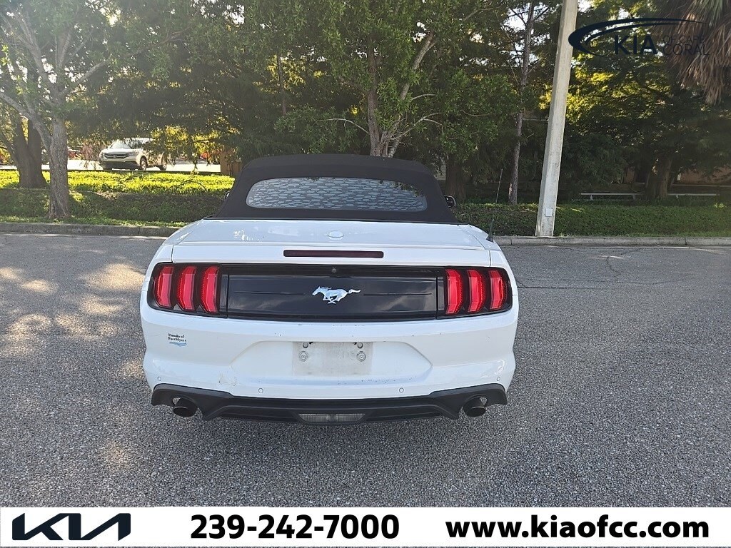 2019 Ford Mustang EcoBoost photo 3