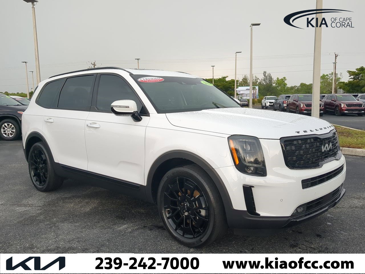Certified 2022 Kia Telluride SX with VIN 5XYP5DHC2NG210932 for sale in Cape Coral, FL