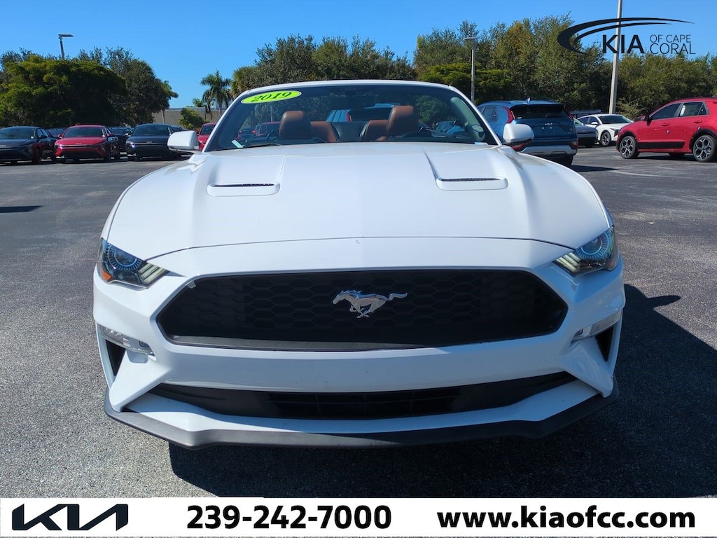 Used 2019 Ford Mustang Convertible