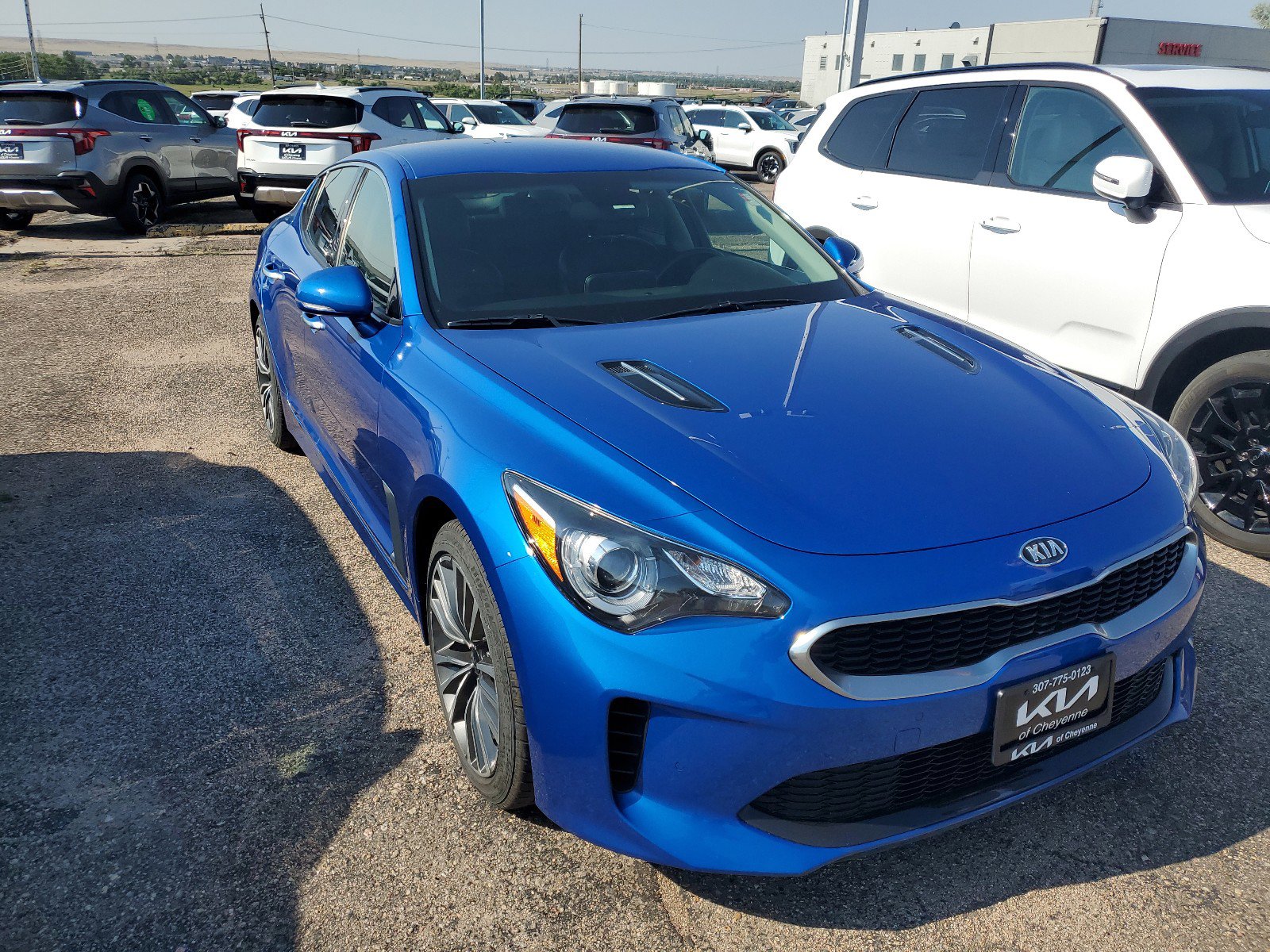 Used 2019 Kia Stinger Stinger with VIN KNAE15LA8K6044829 for sale in Cheyenne, WY