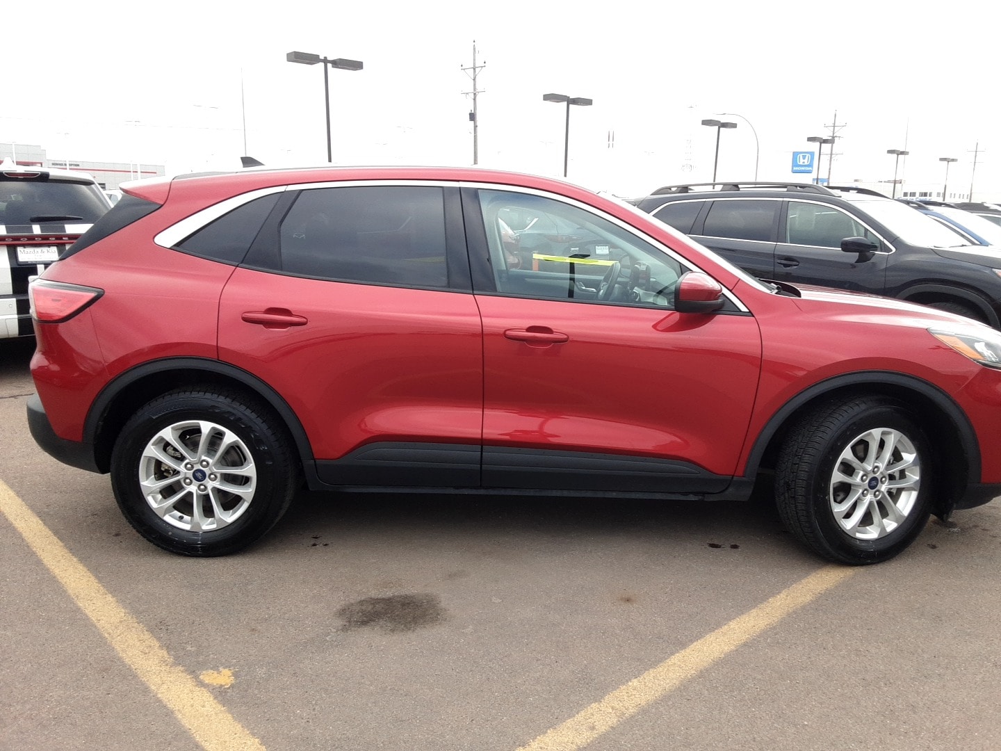Used 2021 Ford Escape SE with VIN 1FMCU9G66MUA50685 for sale in Fargo, ND