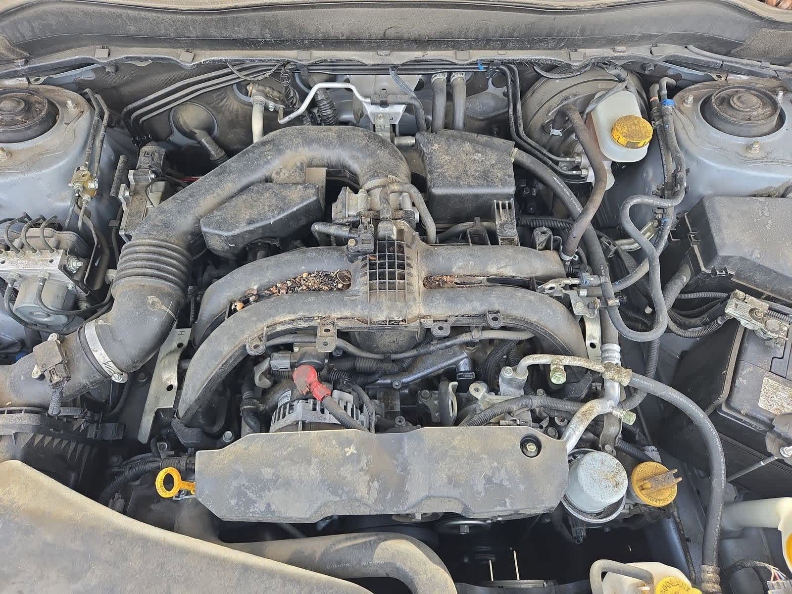 Thumbnail: 2018 Subaru Forester - 13