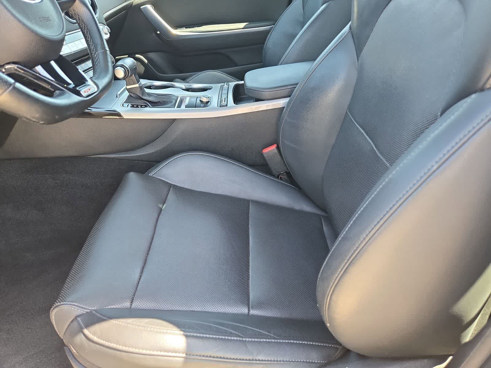 Thumbnail: 2019 Kia Stinger - 14