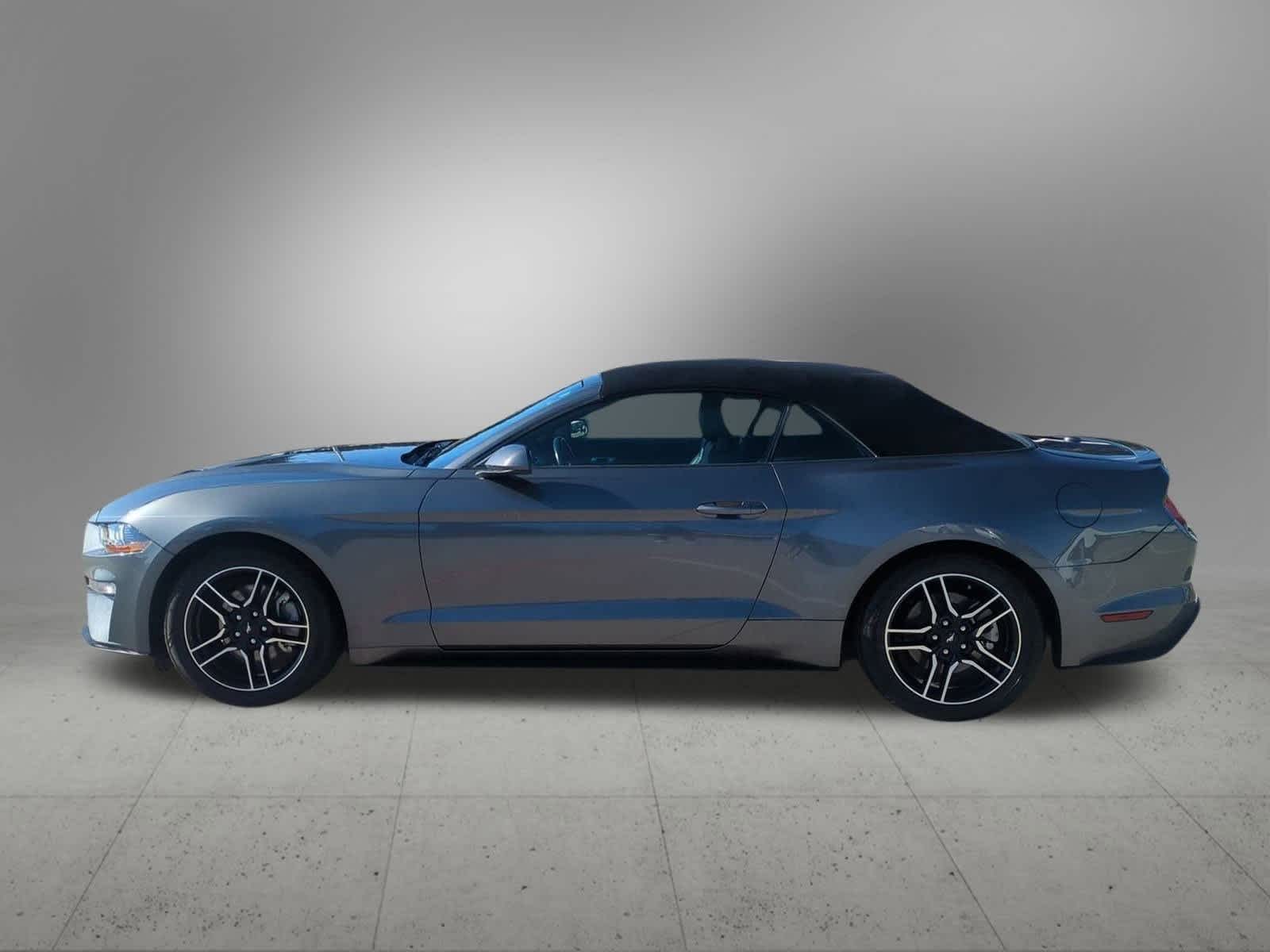 2023 Ford Mustang EcoBoost Premium Convertible photo 2