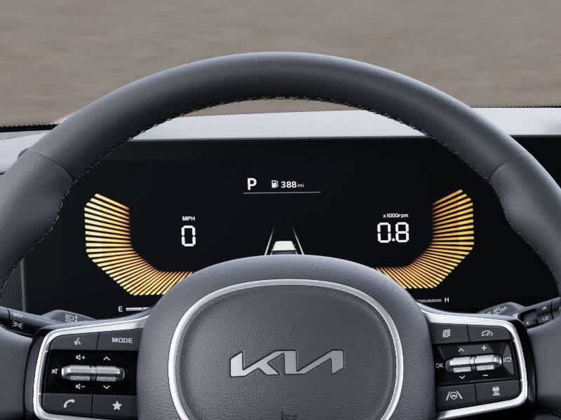 2025 Kia Carnival LXS 21