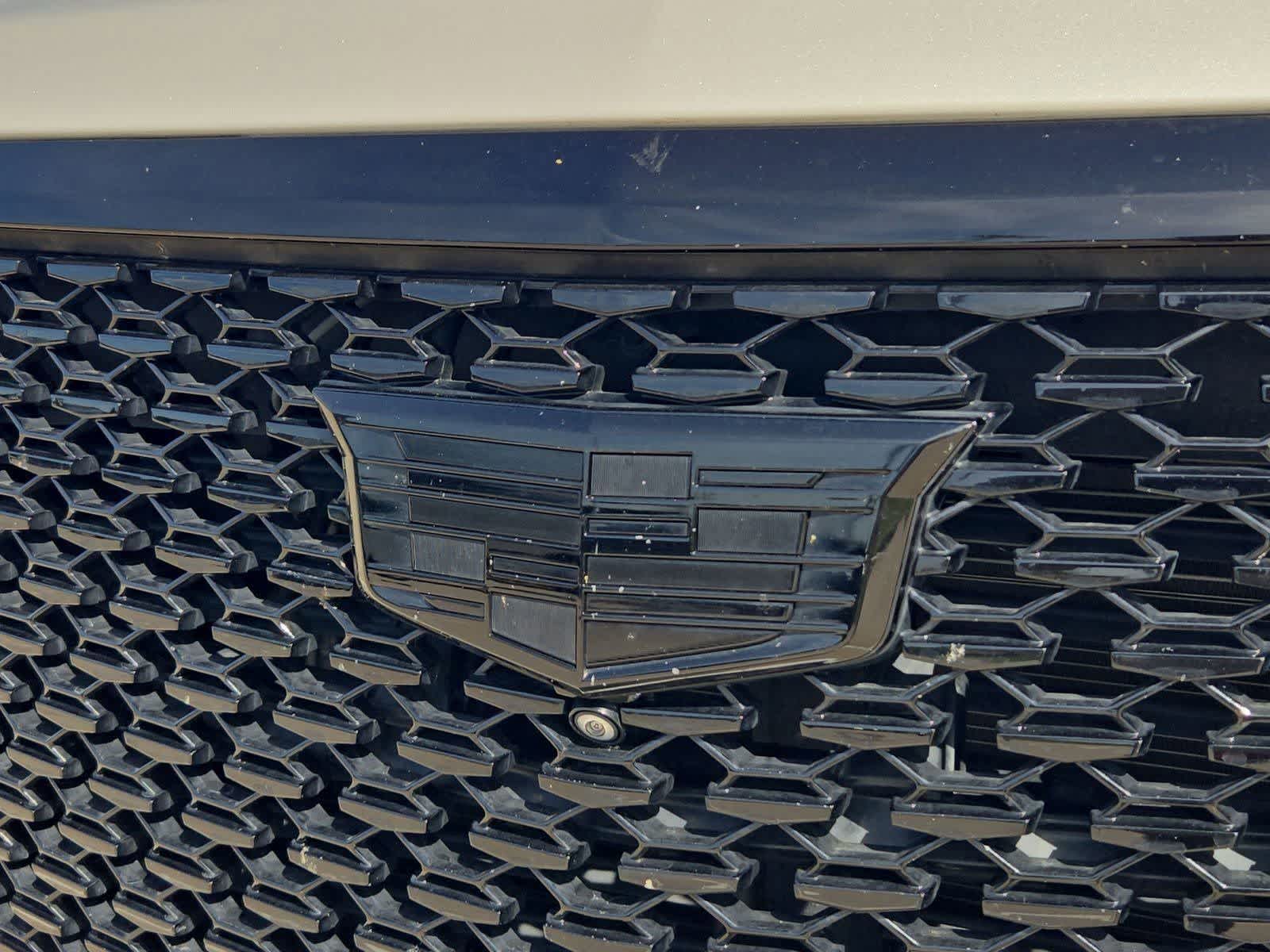 Thumbnail: 2021 Cadillac Escalade - 10