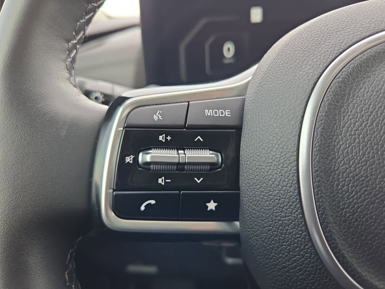 Thumbnail: 2025 Kia Carnival - 24