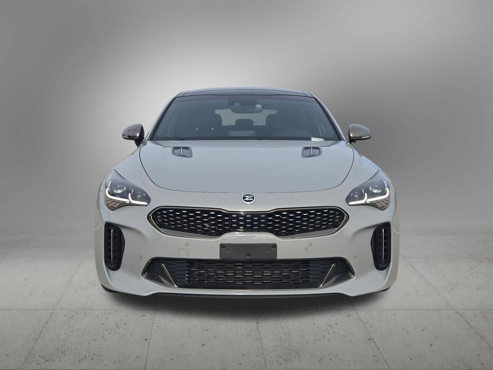 Thumbnail: 2019 Kia Stinger - 9