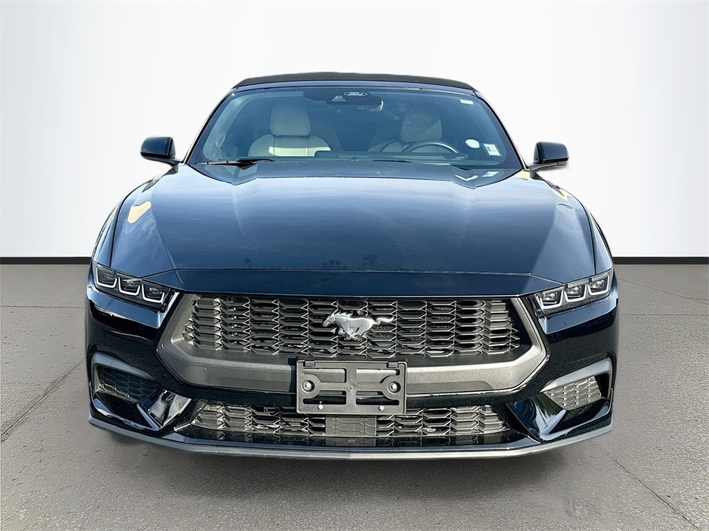 Used 2024 Ford Mustang EcoBoost with VIN 1FAGP8UH5R5132895 for sale in Leesburg, FL