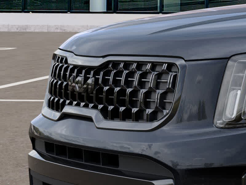 2025 Kia Telluride EX 12