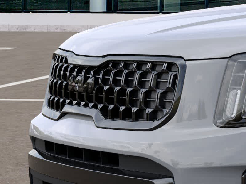 2025 Kia Telluride EX 12