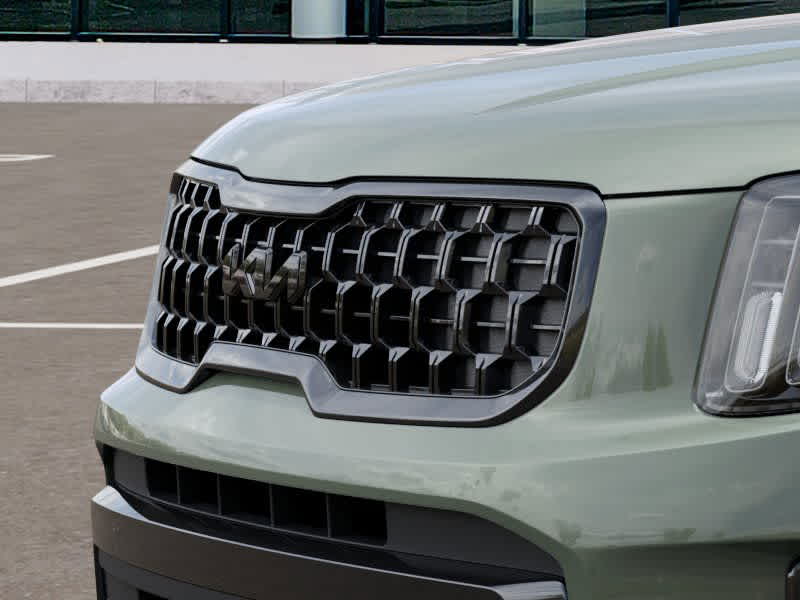 2025 Kia Telluride EX 12