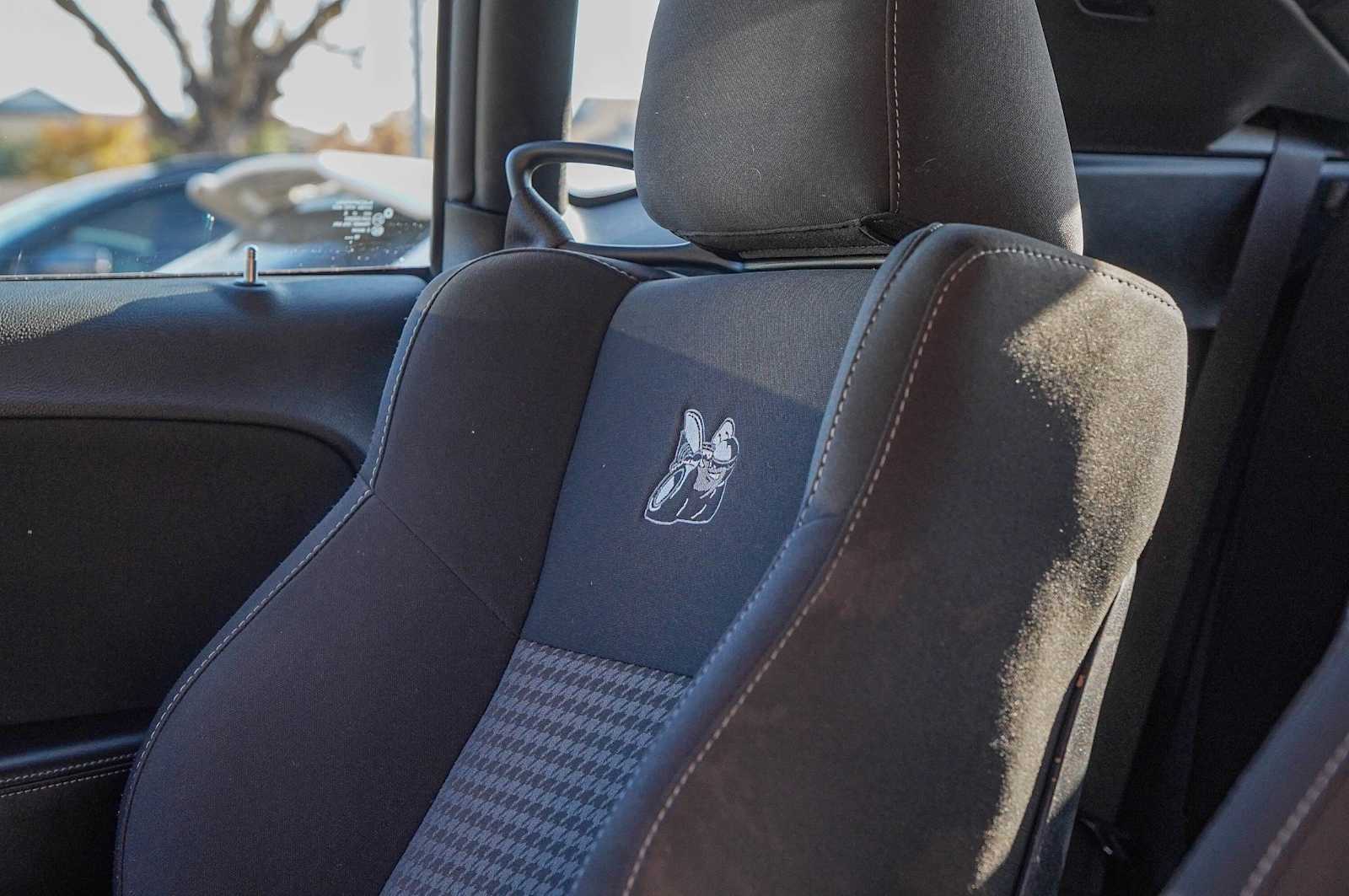 Thumbnail: 2019 Dodge Challenger - 13