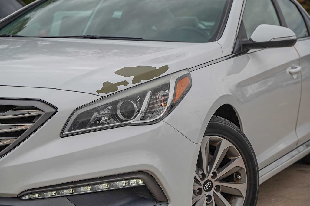 Used 2015 Hyundai Sonata Sport Sedan