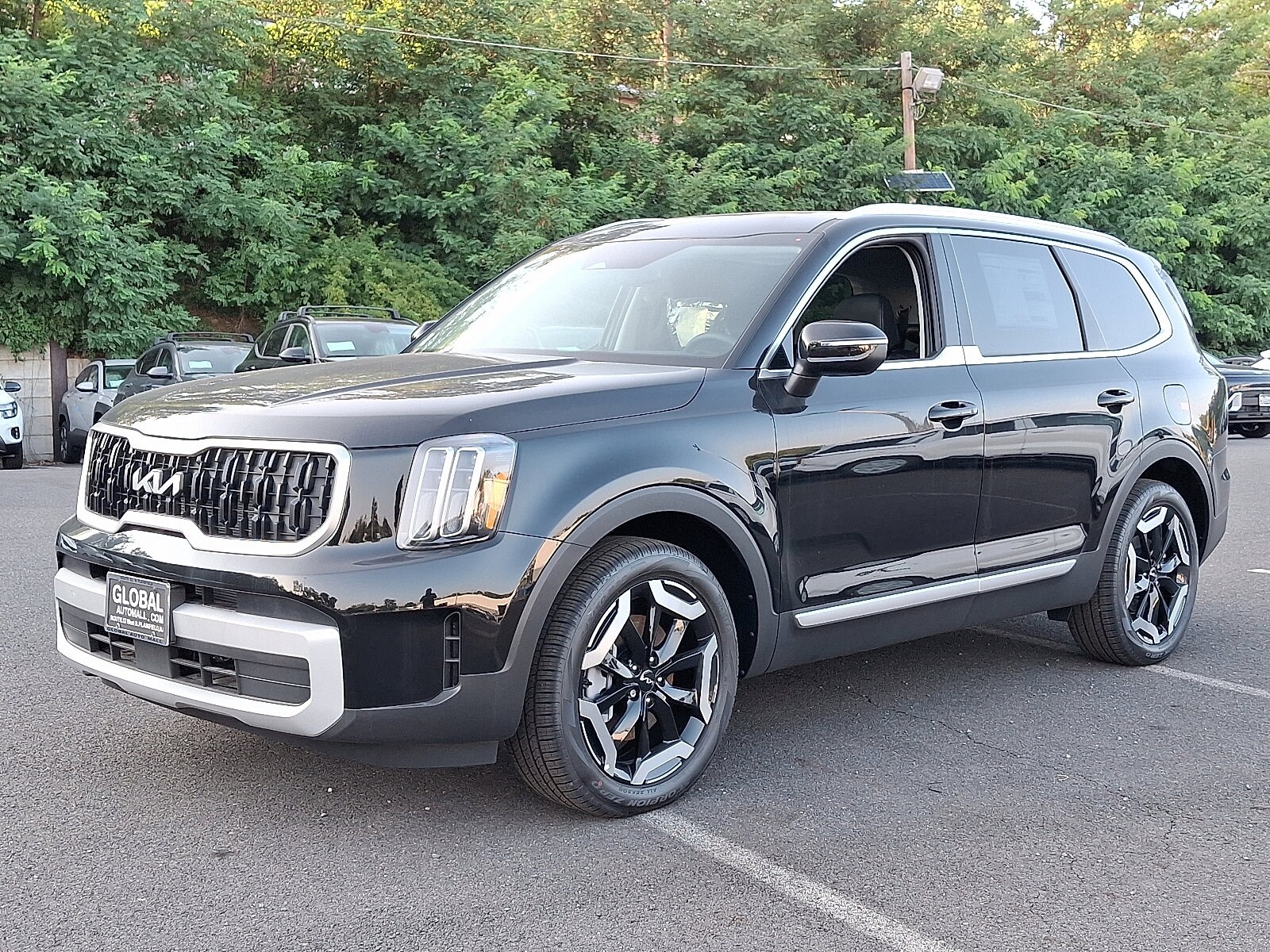 2025 Kia Telluride EX photo 2