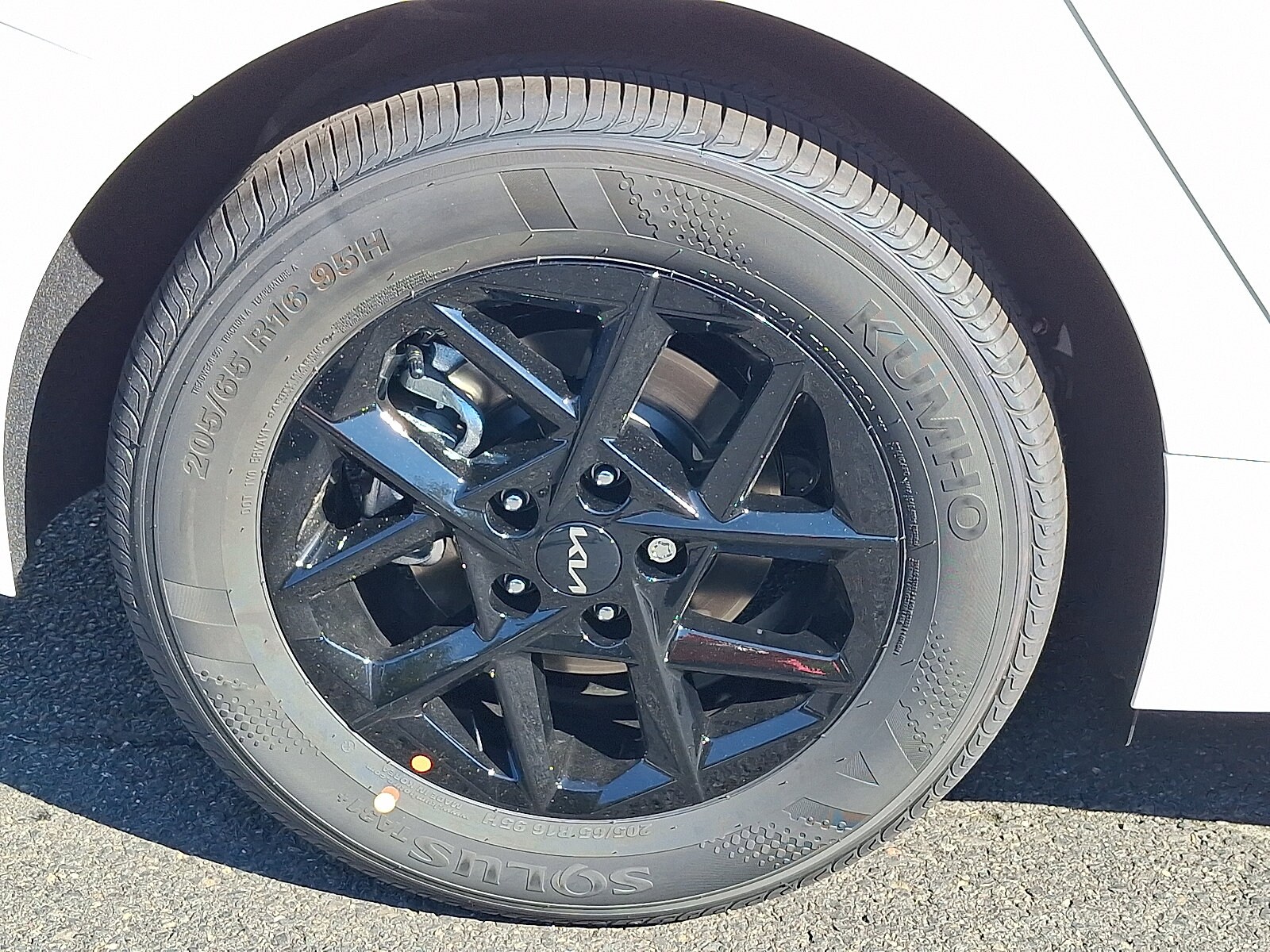 Photo 5