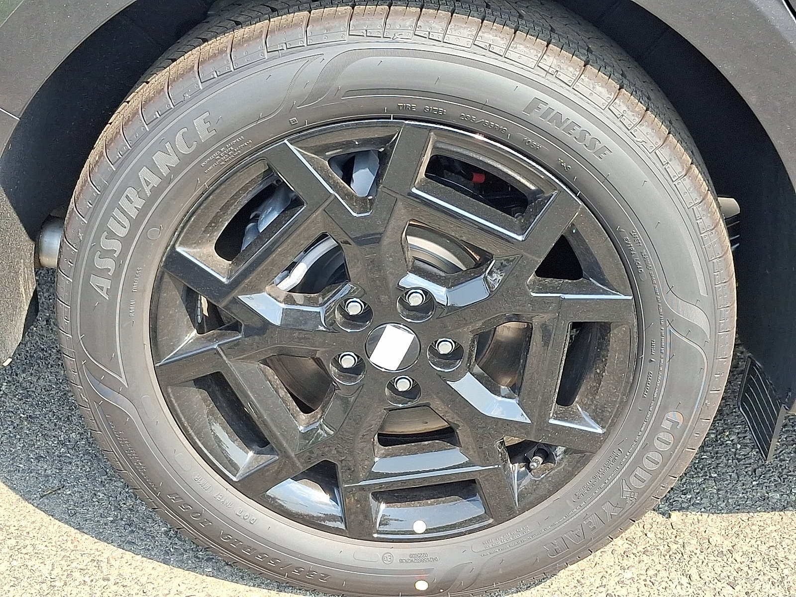 Photo 5
