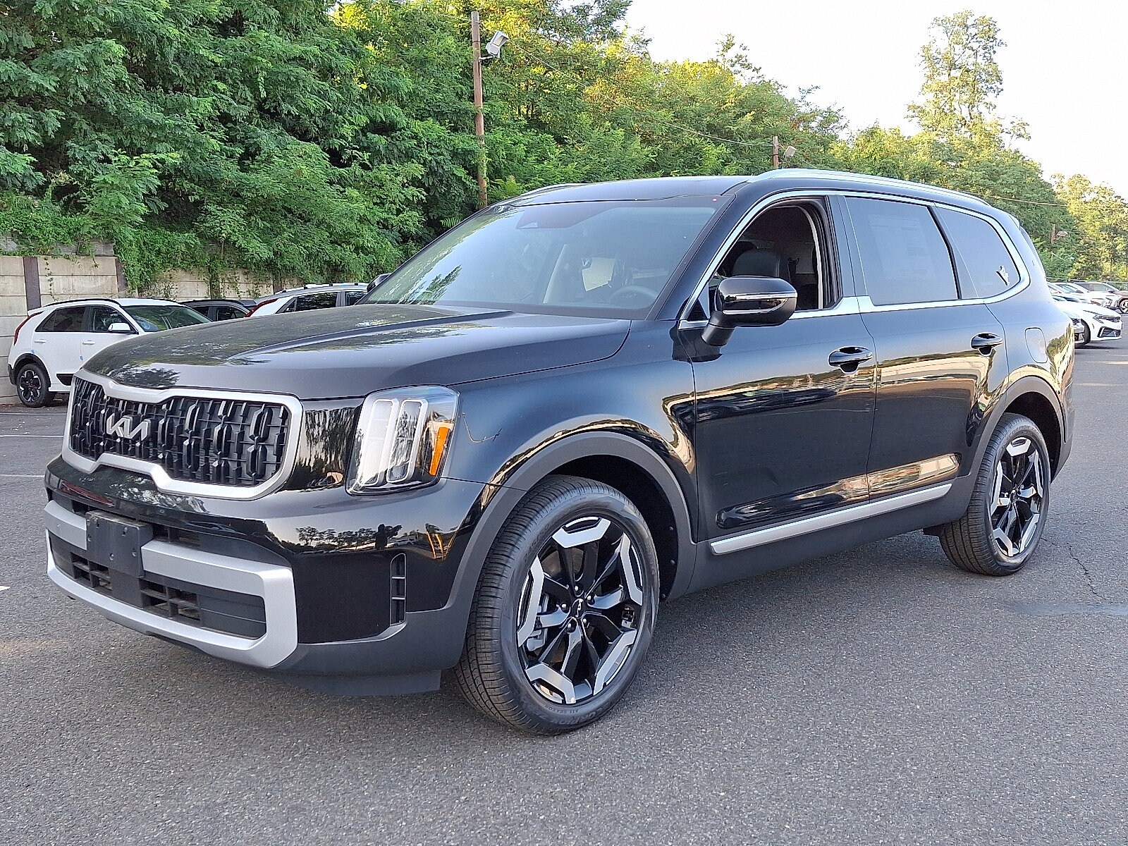 2025 Kia Telluride EX photo 2