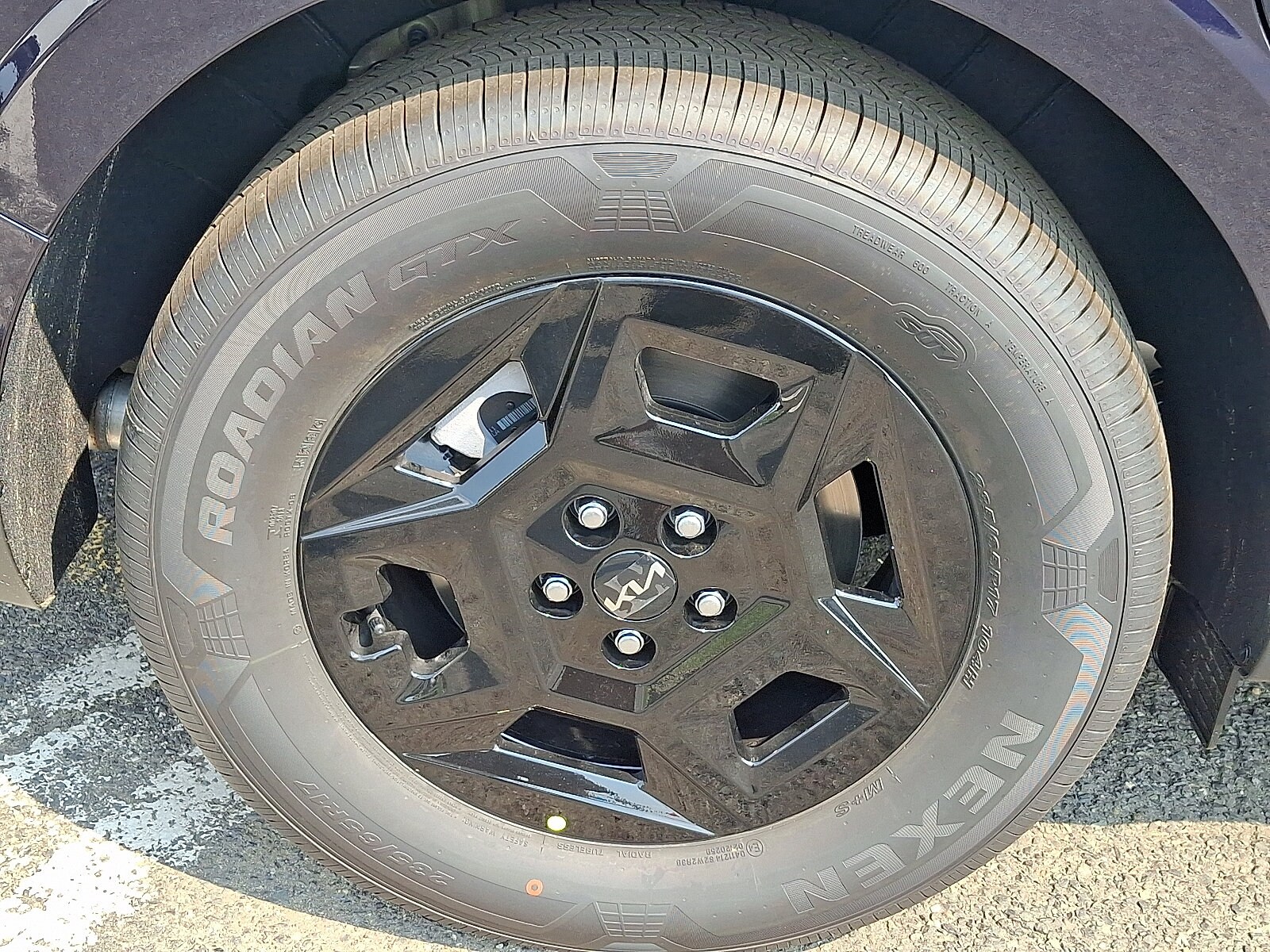 Photo 5