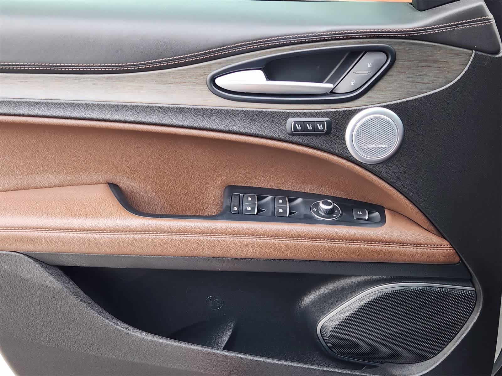 Thumbnail: 2019 Alfa Romeo Stelvio - 22