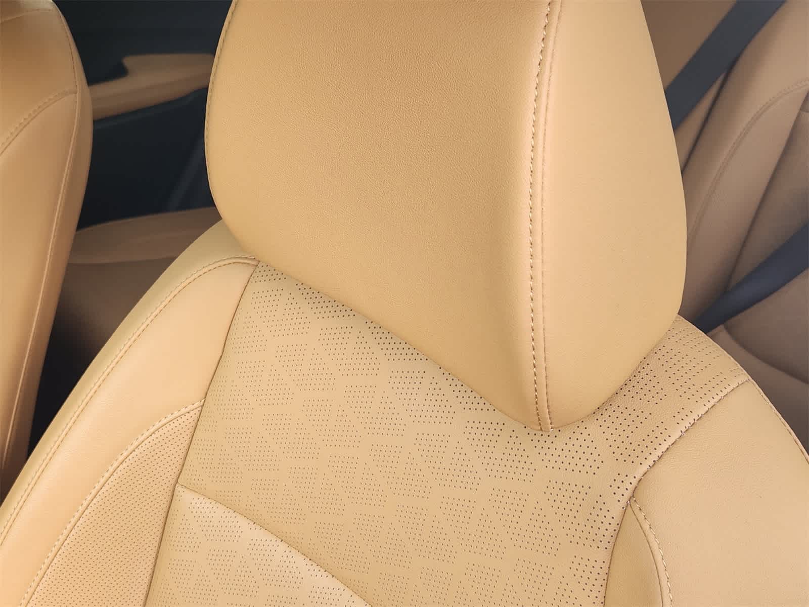 Thumbnail: 2024 Kia Seltos - 13