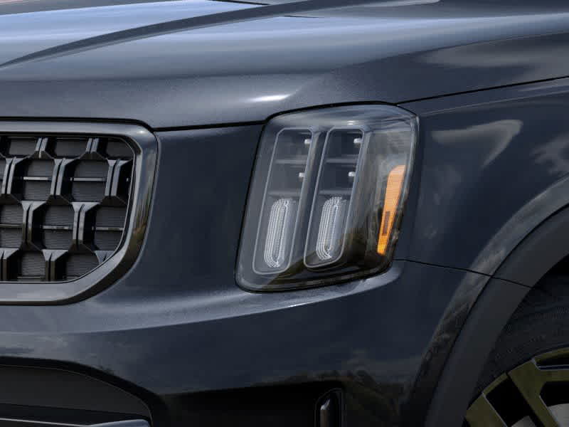 2025 Kia Telluride EX 10